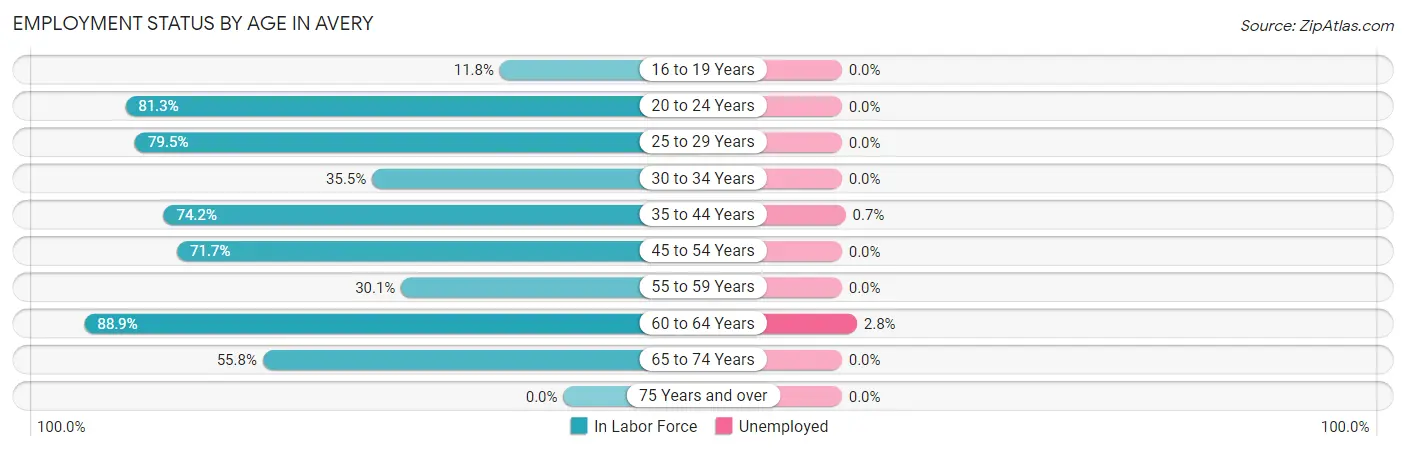 Employment Status by Age in Avery