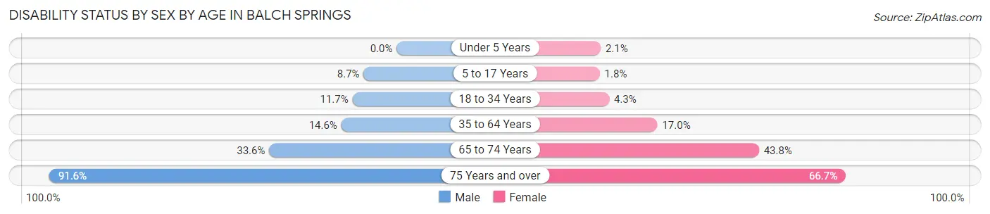 Disability Status by Sex by Age in Balch Springs