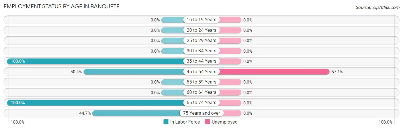 Employment Status by Age in Banquete