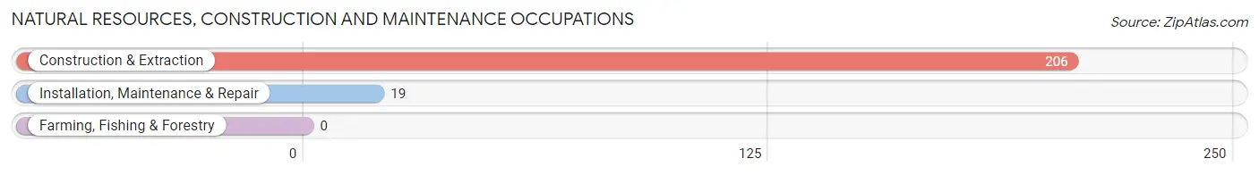 Natural Resources, Construction and Maintenance Occupations in Barrett