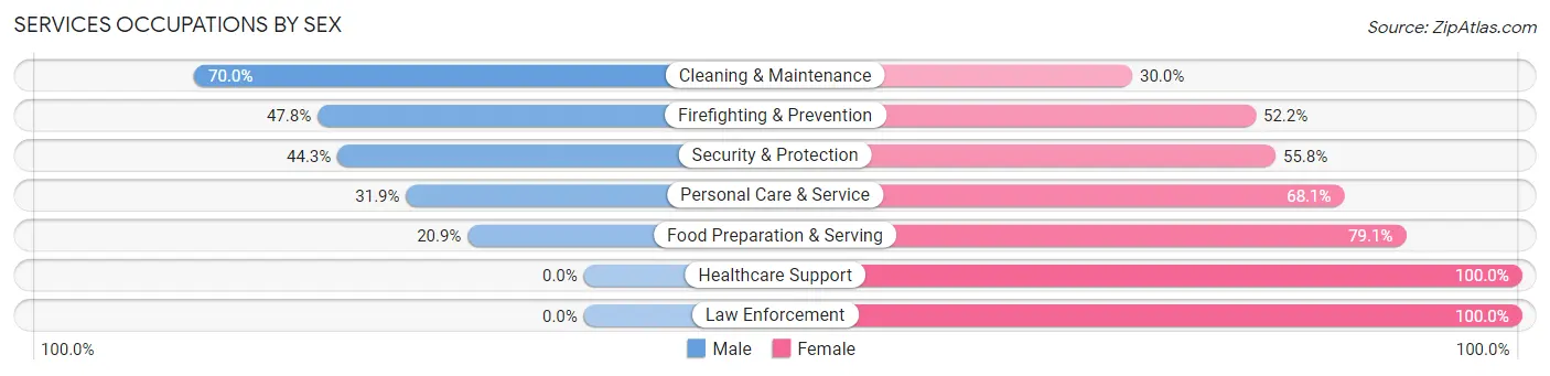 Services Occupations by Sex in Bay City