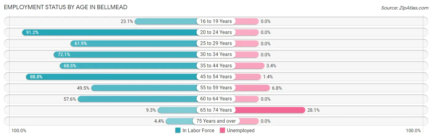 Employment Status by Age in Bellmead