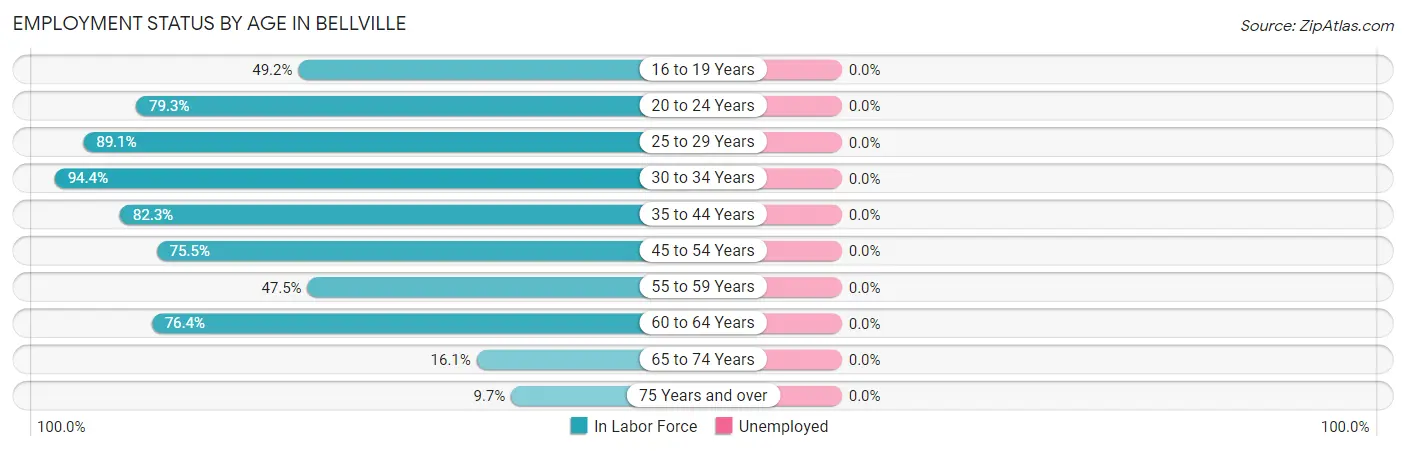 Employment Status by Age in Bellville