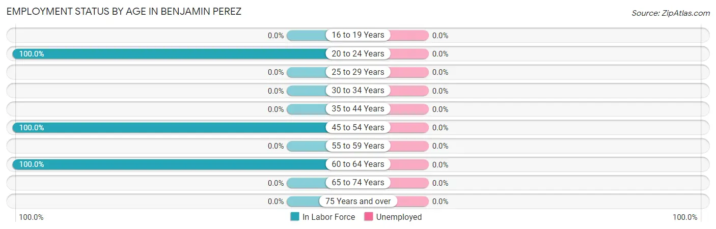Employment Status by Age in Benjamin Perez