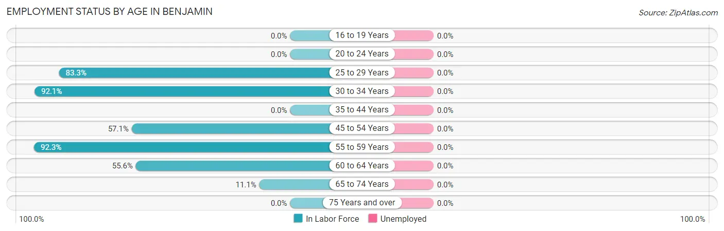 Employment Status by Age in Benjamin