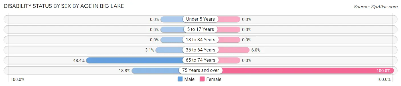 Disability Status by Sex by Age in Big Lake