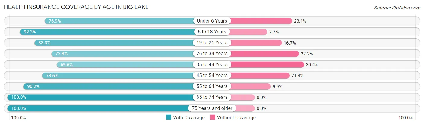 Health Insurance Coverage by Age in Big Lake