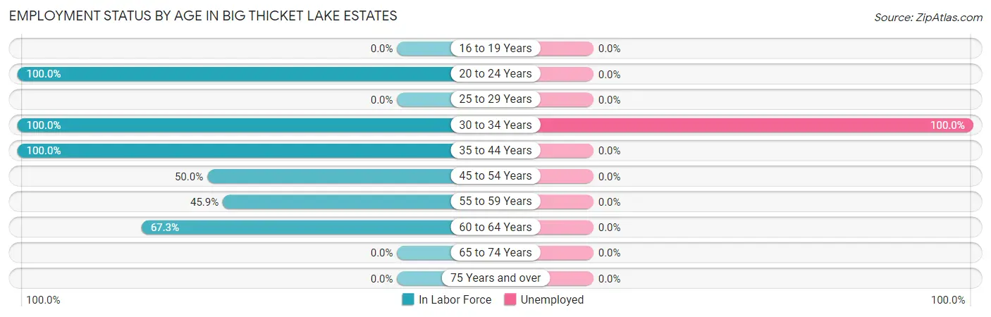 Employment Status by Age in Big Thicket Lake Estates