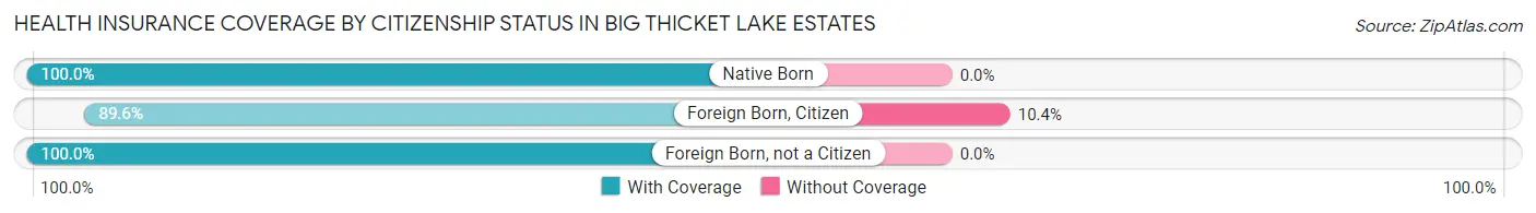 Health Insurance Coverage by Citizenship Status in Big Thicket Lake Estates