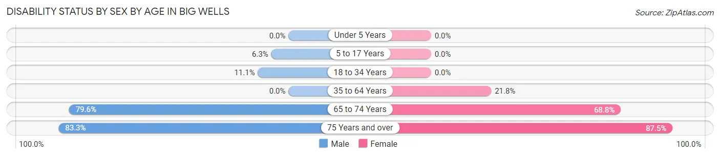 Disability Status by Sex by Age in Big Wells