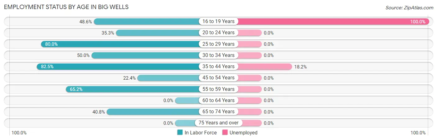 Employment Status by Age in Big Wells