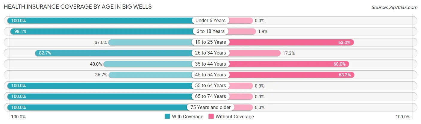Health Insurance Coverage by Age in Big Wells