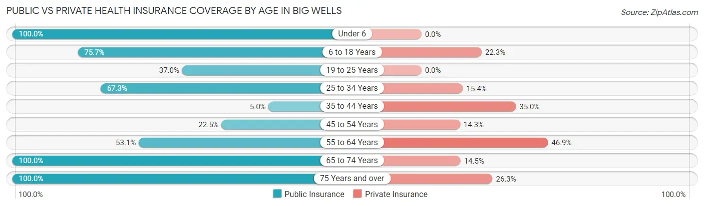 Public vs Private Health Insurance Coverage by Age in Big Wells