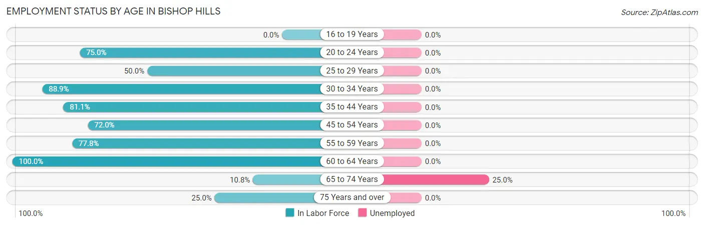 Employment Status by Age in Bishop Hills