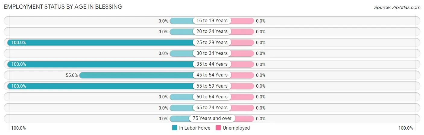 Employment Status by Age in Blessing