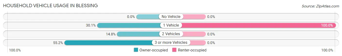 Household Vehicle Usage in Blessing