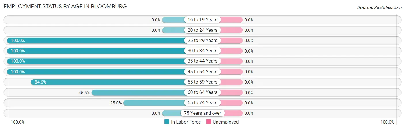 Employment Status by Age in Bloomburg