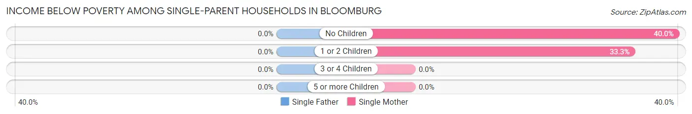 Income Below Poverty Among Single-Parent Households in Bloomburg
