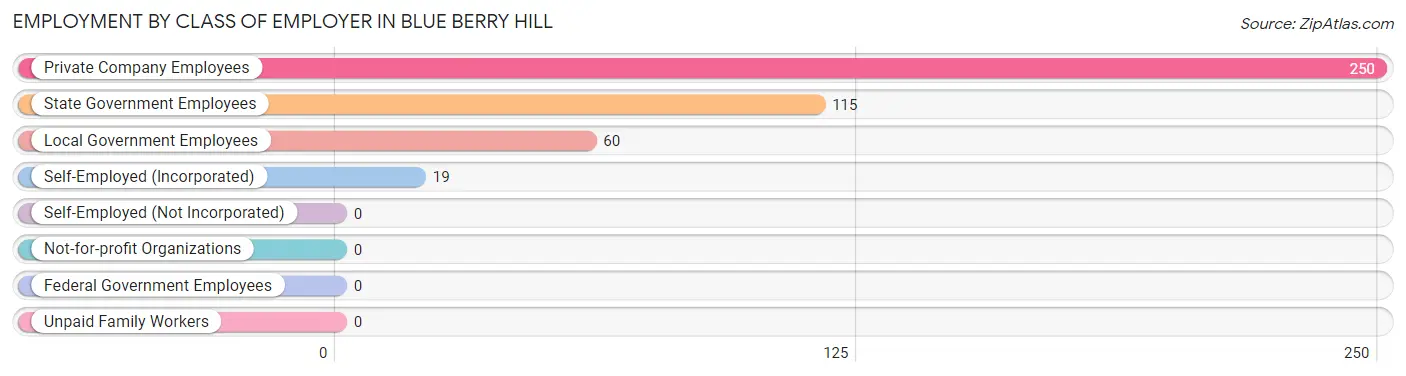 Employment by Class of Employer in Blue Berry Hill