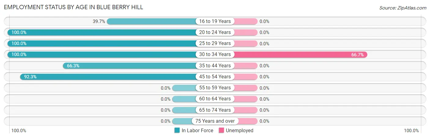 Employment Status by Age in Blue Berry Hill