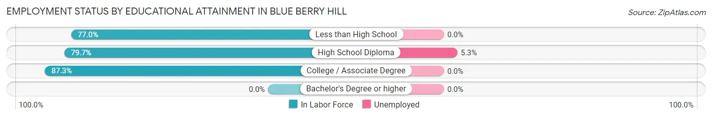 Employment Status by Educational Attainment in Blue Berry Hill