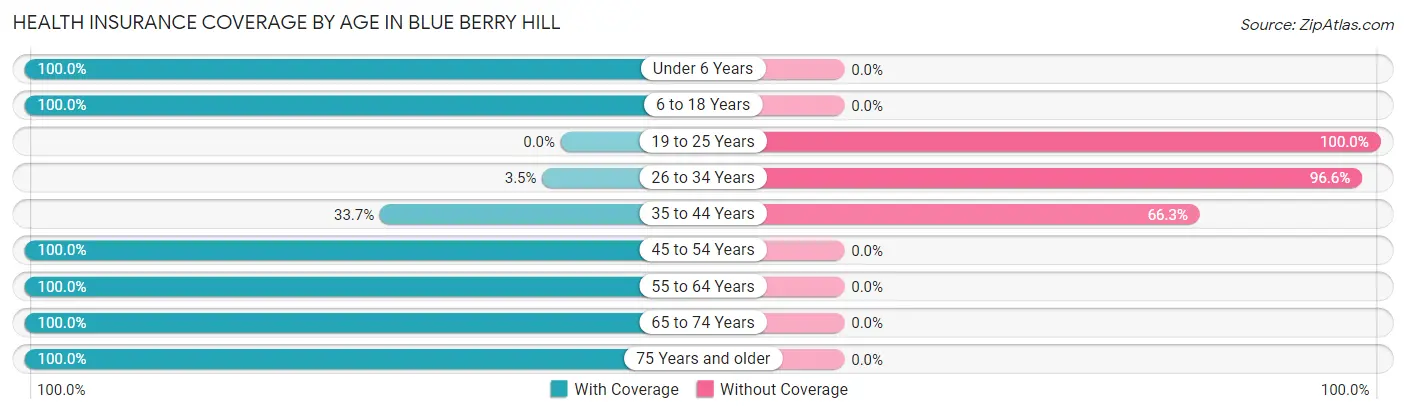 Health Insurance Coverage by Age in Blue Berry Hill