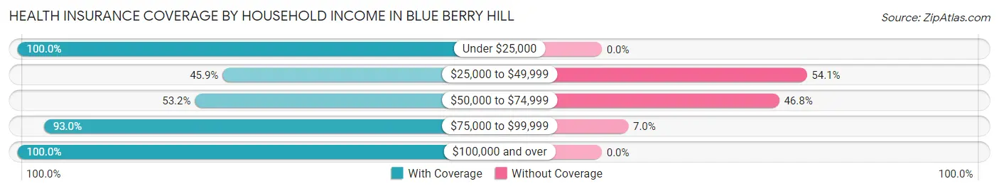 Health Insurance Coverage by Household Income in Blue Berry Hill