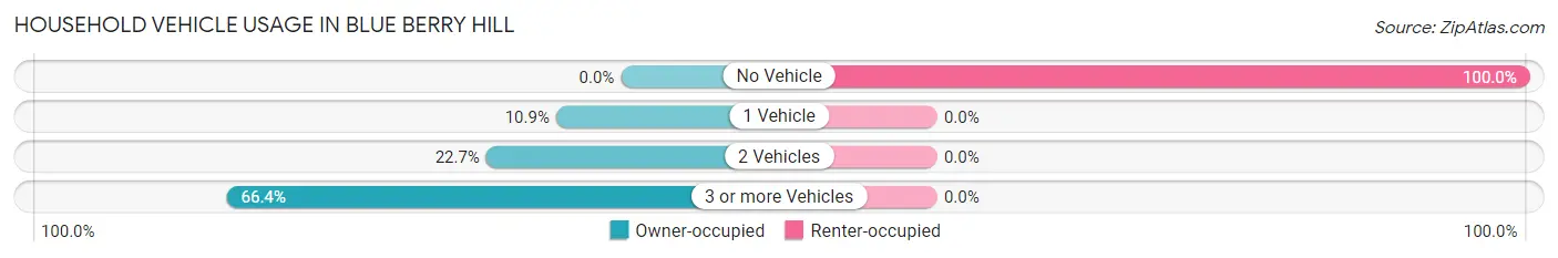 Household Vehicle Usage in Blue Berry Hill