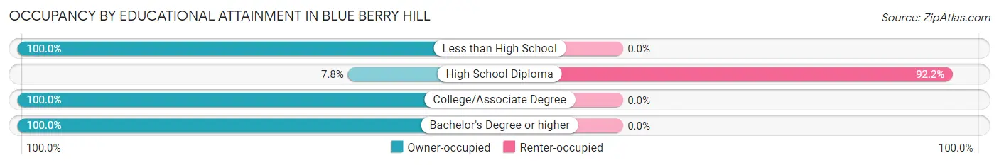 Occupancy by Educational Attainment in Blue Berry Hill