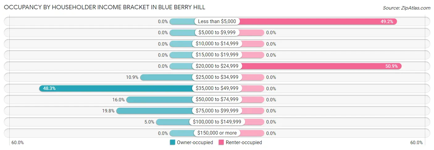 Occupancy by Householder Income Bracket in Blue Berry Hill