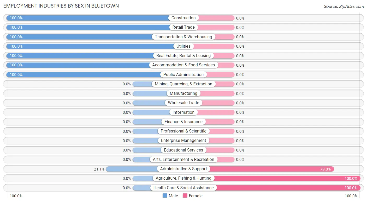 Employment Industries by Sex in Bluetown