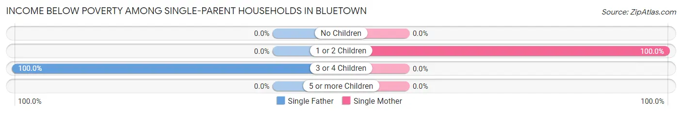 Income Below Poverty Among Single-Parent Households in Bluetown