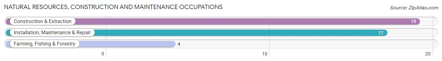 Natural Resources, Construction and Maintenance Occupations in Bluetown