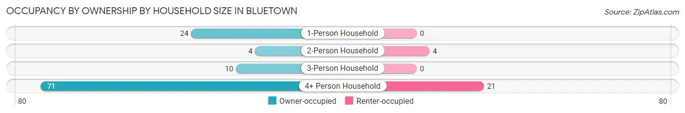 Occupancy by Ownership by Household Size in Bluetown