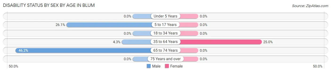 Disability Status by Sex by Age in Blum