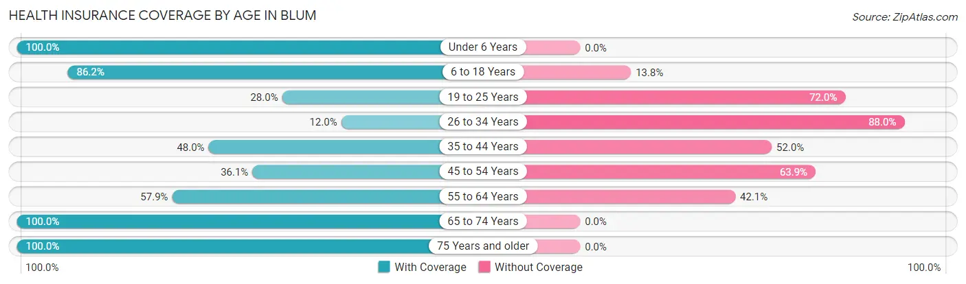 Health Insurance Coverage by Age in Blum