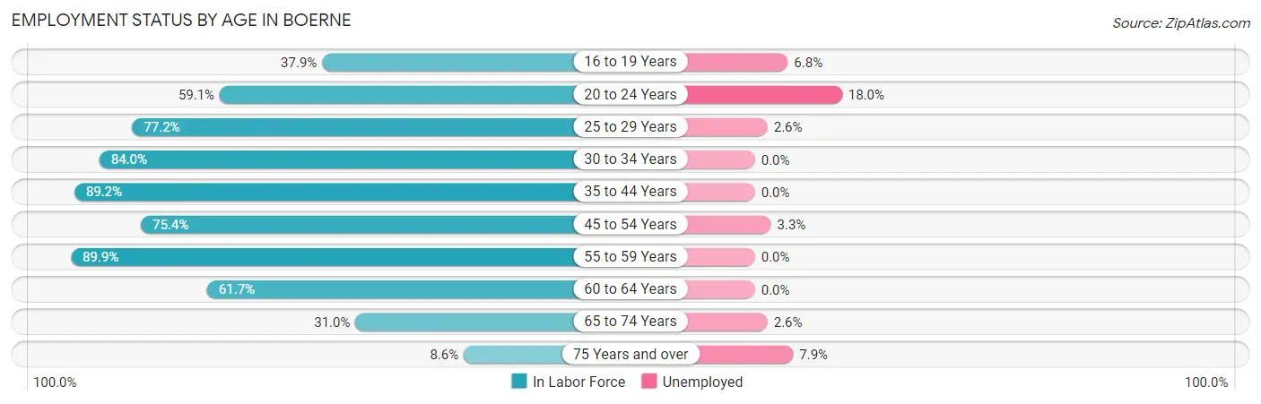 Employment Status by Age in Boerne