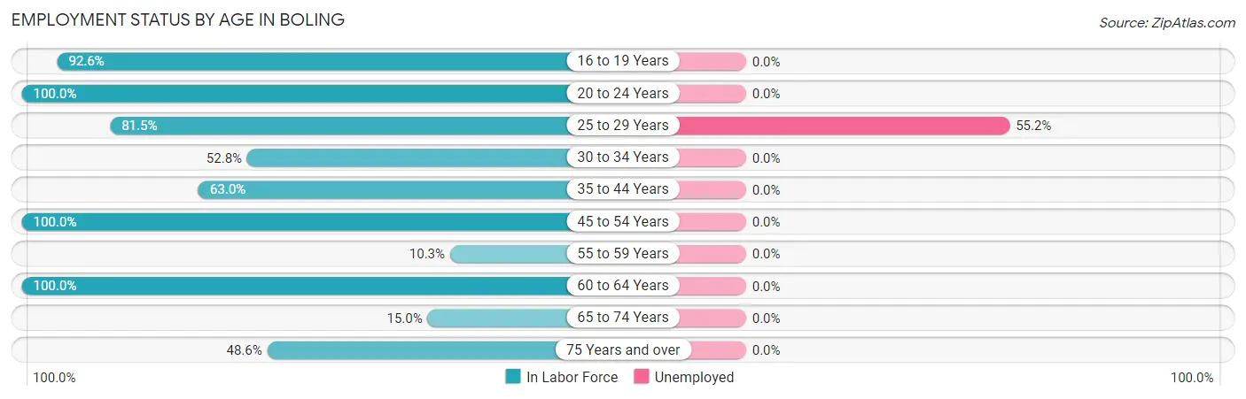 Employment Status by Age in Boling