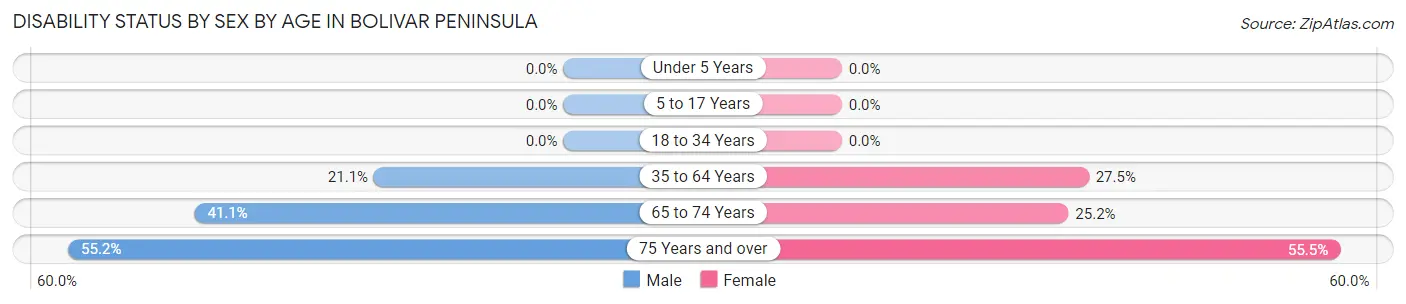 Disability Status by Sex by Age in Bolivar Peninsula