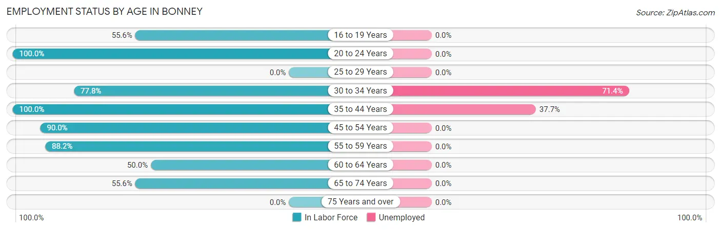 Employment Status by Age in Bonney