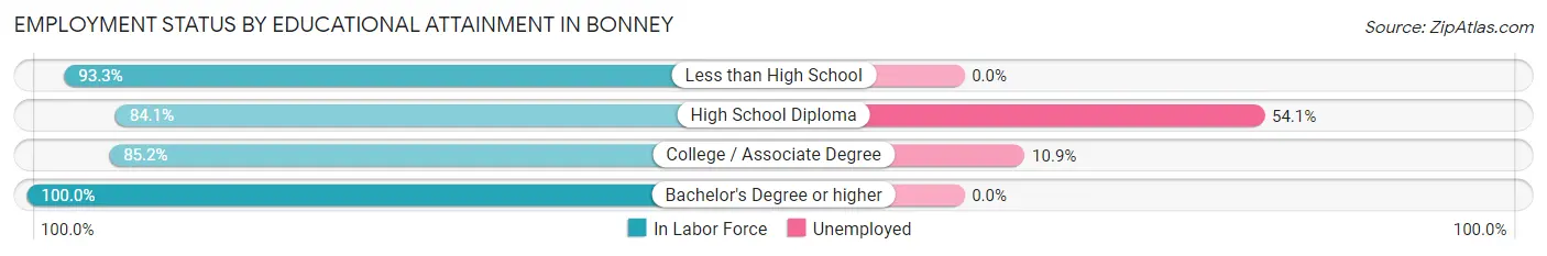 Employment Status by Educational Attainment in Bonney