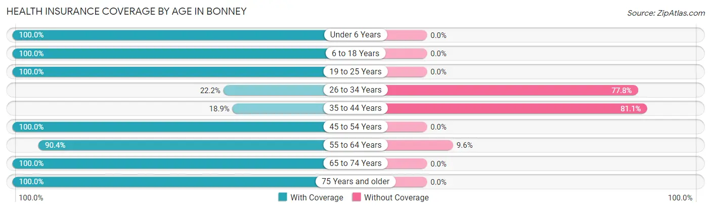 Health Insurance Coverage by Age in Bonney
