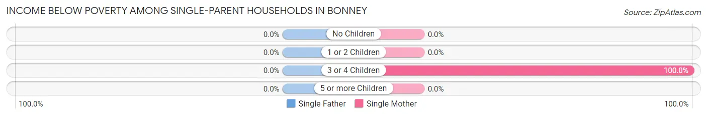 Income Below Poverty Among Single-Parent Households in Bonney