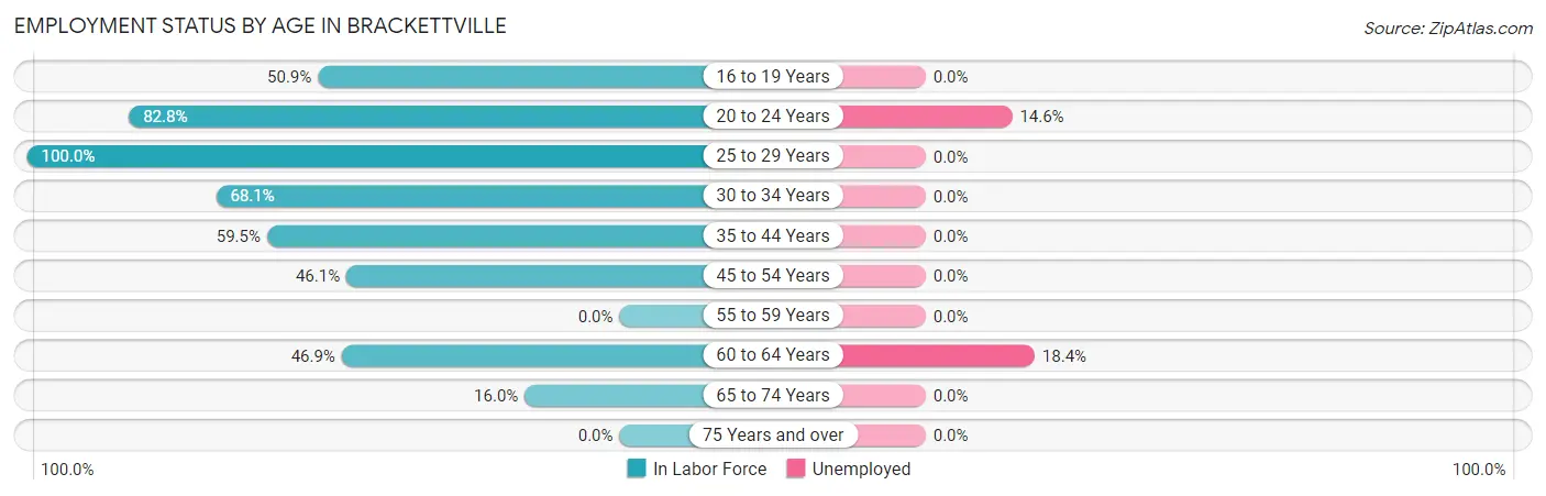 Employment Status by Age in Brackettville