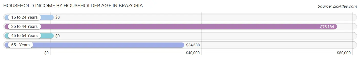 Household Income by Householder Age in Brazoria