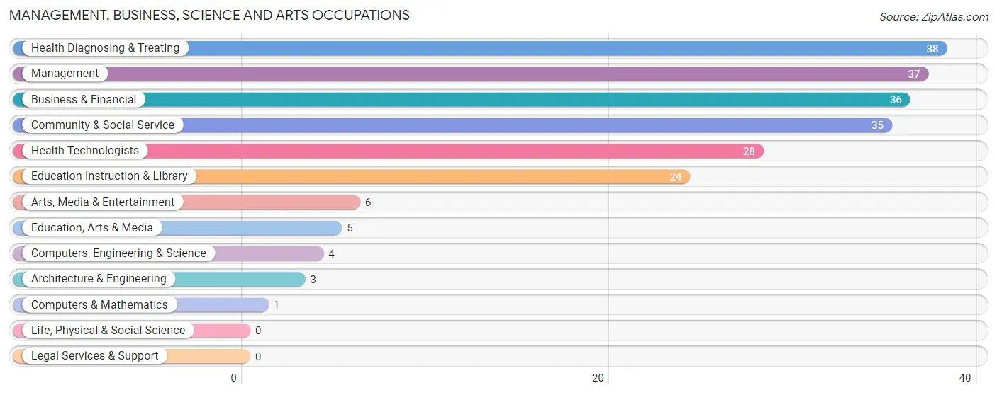 Management, Business, Science and Arts Occupations in Brazos Country