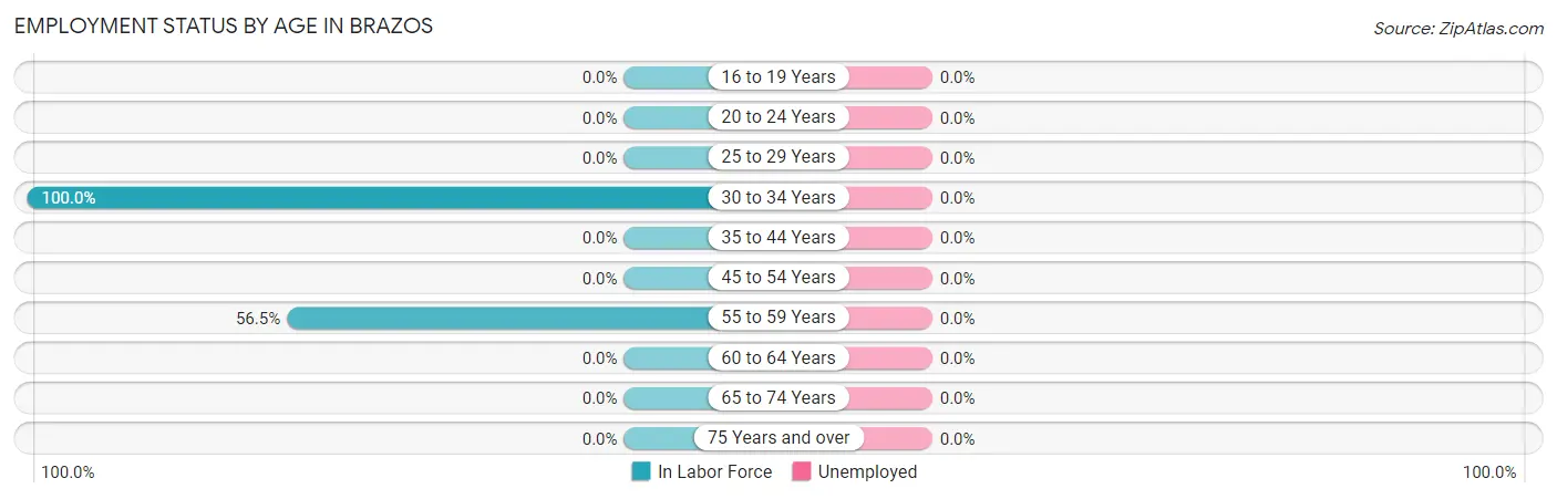 Employment Status by Age in Brazos