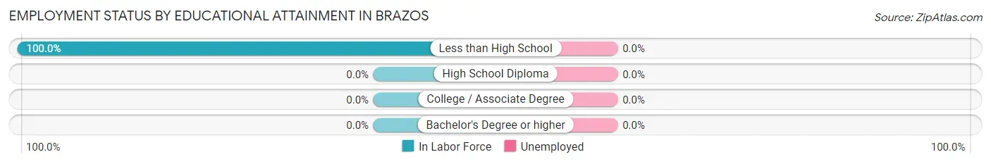 Employment Status by Educational Attainment in Brazos
