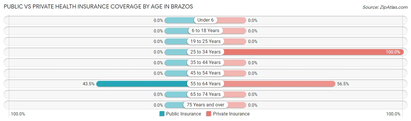Public vs Private Health Insurance Coverage by Age in Brazos