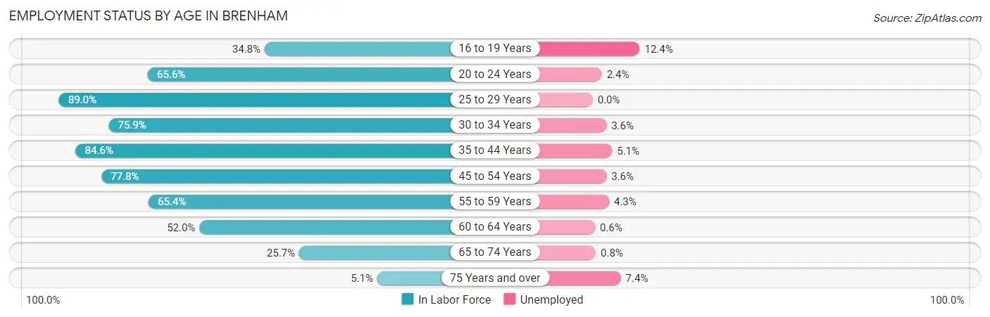 Employment Status by Age in Brenham